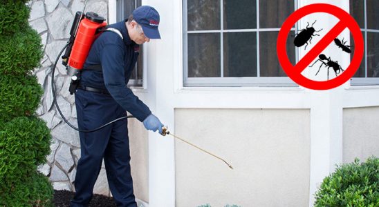 Felahiye Bit İlaçlama böcek ilaçlama ve haşere kontrolü — ilaclama-tr.com